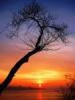 yusayx's picture