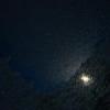 spacenewt's picture