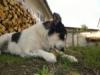 Branja's picture