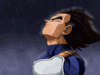 shinakuma's picture