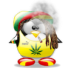 theyosh's picture