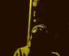 melmoth's picture